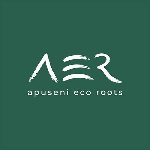 AER